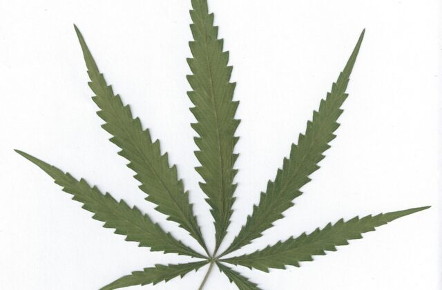 Man arrested after street assault in Burslem leads police to cannabis grow